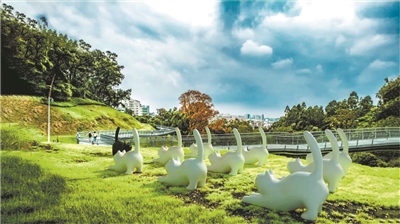 走在云道，看花看展看AR